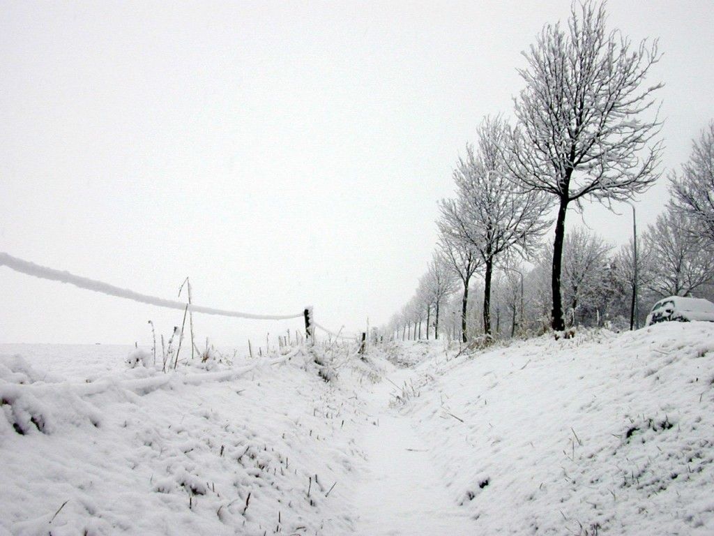 Les activités à faire en hiver