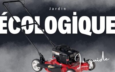 Jardin écologique : 3 astuces pour transformer le vôtre