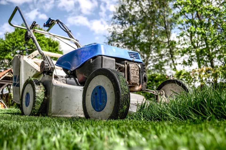 Jardin écologique : 3 astuces pour transformer le vôtre